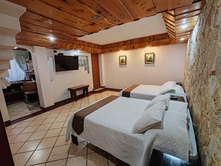 101 Habitacion Superior Especial (1)
