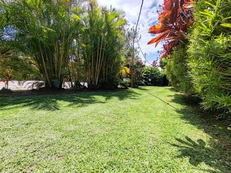 IMG_20260620_111956